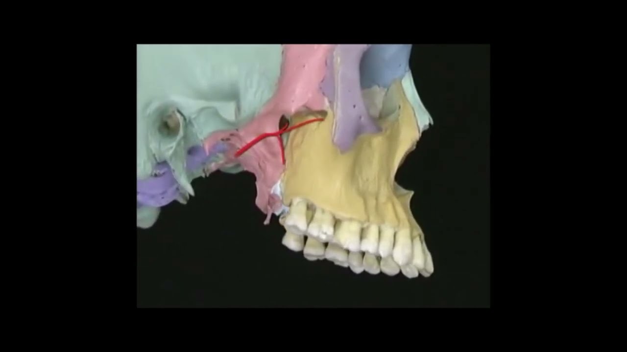 José María Hernández Garcia-8