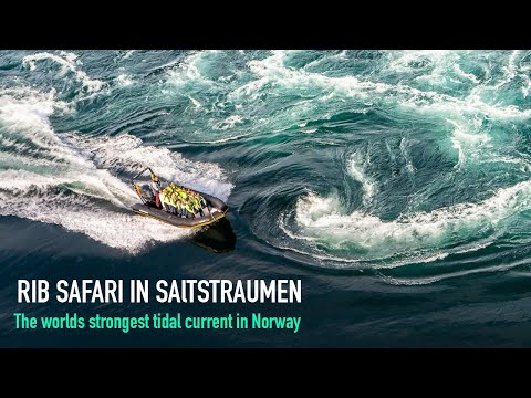 RIB-safari in Saltstraumen -The worlds strongest tidal current
