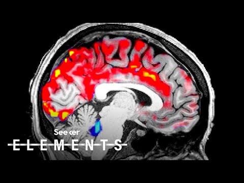 科学者たちは、睡眠が脳内の毒素を浄化する方法を発見しました。 (Scientists Discovered How Sleep Cleans Toxins From Your Brain)