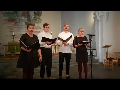 THE MOST BEAUTIFUL RENAISSANCE MUSIC --- Il Bianco e Dolce Cigno