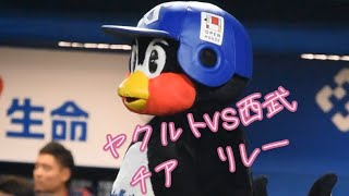 ヤクルトvs西武　チアリレー　2024.6.6