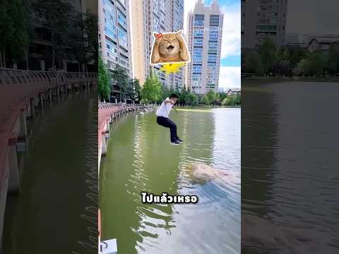 พ่อ อย่ากระโดดไปที่โขดหิน