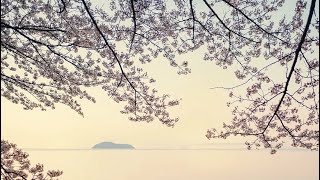 Download lagu 千本桜 (サックス４重奏)  作曲：黒うさP mp3