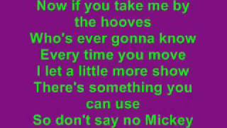 Hey Mickey Lyrics