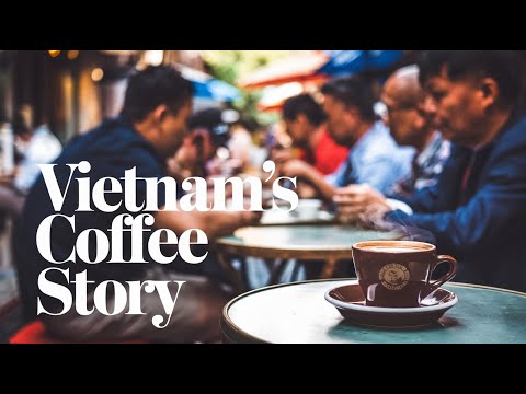 원두의 세계: 아라비카 vs 로부스타, 무엇이 다를까?