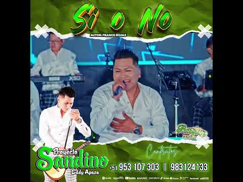 Proyecto Sandino Eddy Apaza 2024 Si o No