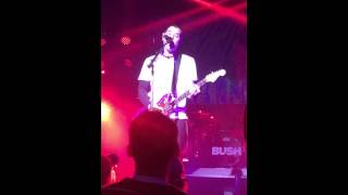 Short clip of Swim (Bush) - 2/14/15