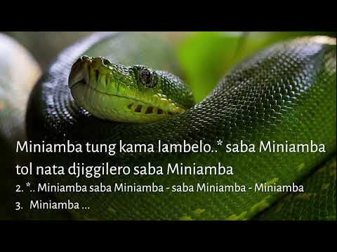 9. Wochenlied - Miniamba - zum Mitsingen (W1/2021)