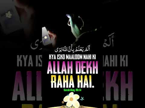 Allah dekh raha hai #quotes
