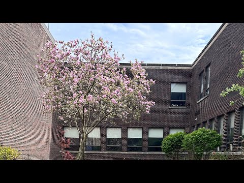 Do something project