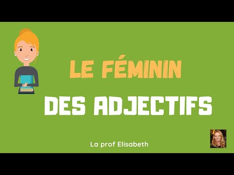 L'accord des adjectifs au féminin en français. Niveau A1 de FLE - English subtitles available 😉