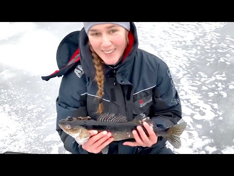 Vinkit aloittelijalle kuhan pilkintään - Kuhan pilkintää Itä-Suomessa - Kalakingi