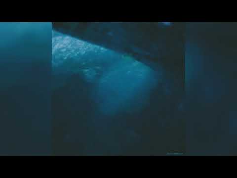 Blank Embrace - [ Asphodel II ] - Full Album (2019)