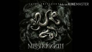 Meshuggah - Mind&#39;s Mirrors/In Death - Is Life/In Death - Is Death