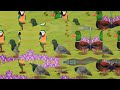 Hooray For The Animals Effects SpartaPitch Sponsored By Gamavision Csupo FX
