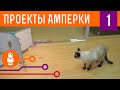 Фотобудка для кота. Проекты Амперки #1 