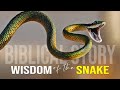 Wisdom Of The Serpent Best Motivational Video