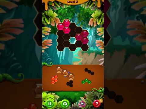 Express Hexa Puzzle Blocks