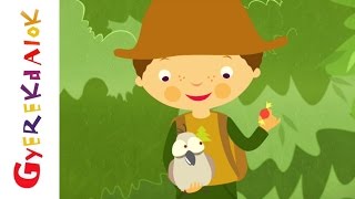 Vignette de la vidéo "Erdő, erdő, erdő (gyerekdal, rajzfilm gyerekeknek)"