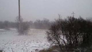 preview picture of video 'carso triestino 10 marzo 2010 snow and bora'