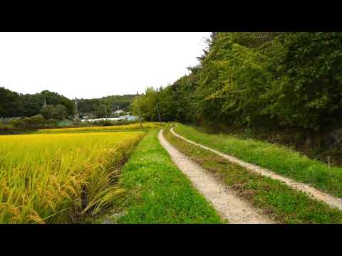 Skylight - No Copyright Cinematic Action Trailer Music