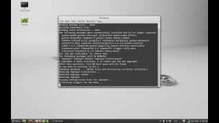 Completely remove a software using command line in Linux Mint