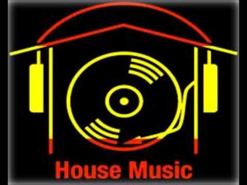 Avicii levels - Benny Benassi House music mix