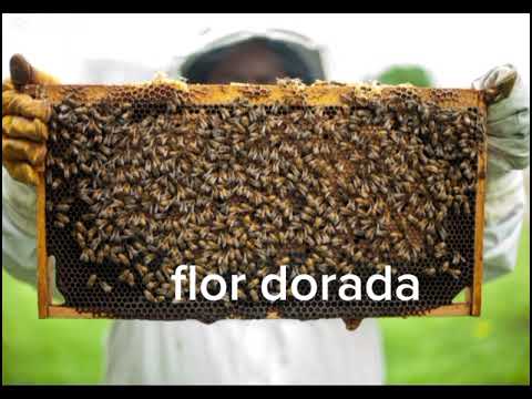 Conociendo mi departamento de Itapúa Paraguay