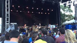 Wilco - Pickled Ginger