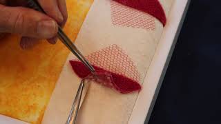 Sim*Dissect - 4: Dissecting Tissue Planes
