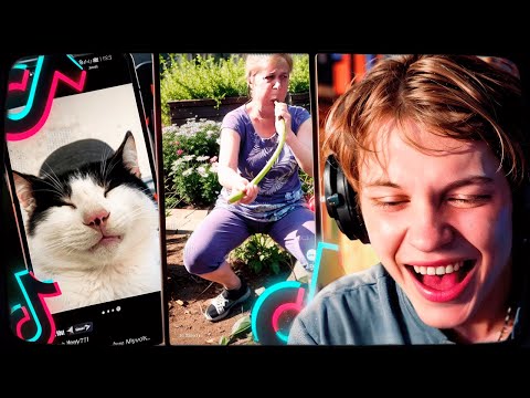 ДИПИНС СМОТРИТ ТИКТОК