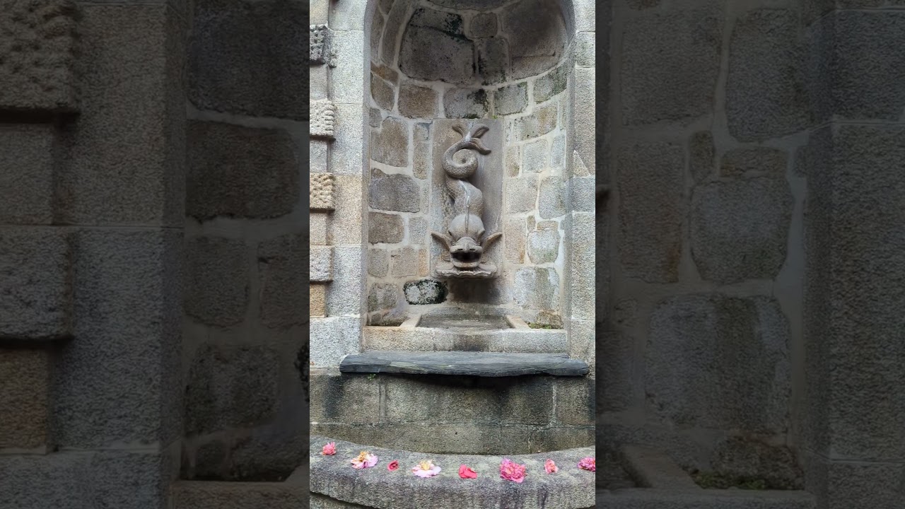 YouTube Short thumbnail