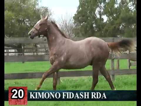 Lote 20- KIMONO FIDASH RDA -- RINCON DEL AGUARA – LOS MONTEROS - 2017