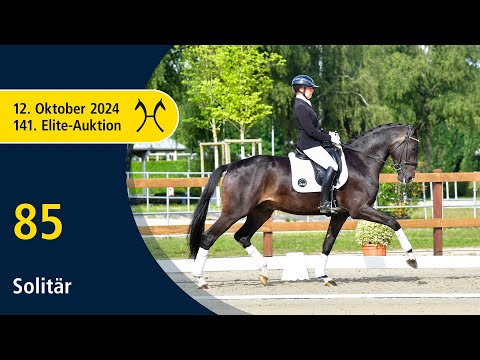 No. 85 Solitär by Secret - Sirtaki | 141. Verden Elite-Auction on October, 12th