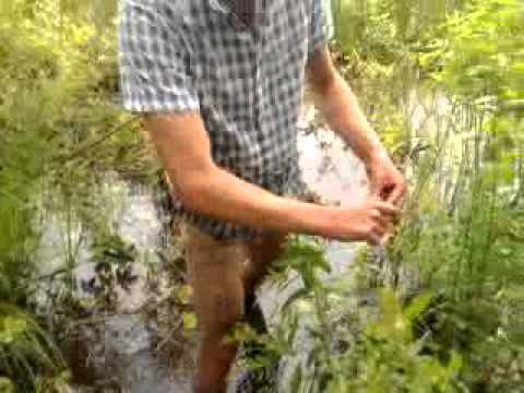 Jaanipäev 2011 @ Otepää