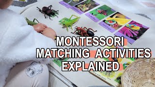 WHAT YOU NEED TO KNOW ABOUT MATCHING ACTIVITIES! Progression, Extensions, FAQs | Montessori At Home