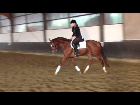 Vitalis Gestüt Seehof