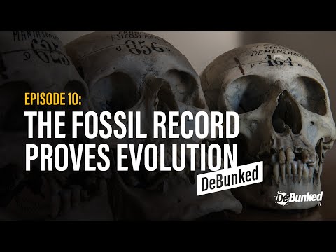 DeBunkedTV | Episode 10  | The Fossil Record Proves Evolution - DeBunked