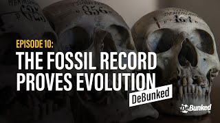 DTV: Episode 10 - The Fossil Record Proves Evolution - DeBunked