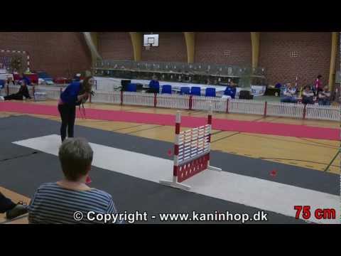 Danish Championships 2012 in Rabbit Hopping - The winners