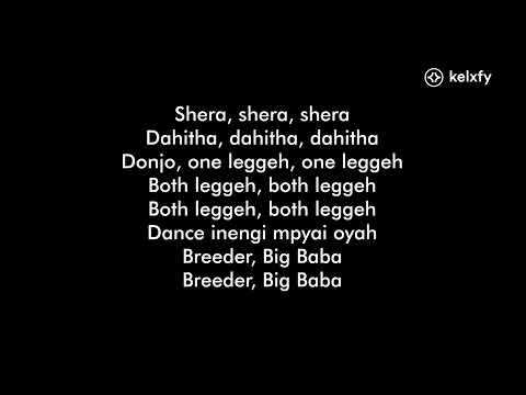 Breeder LW ft Zendiambo - Dance Mpyai (Both Lege) lyrics