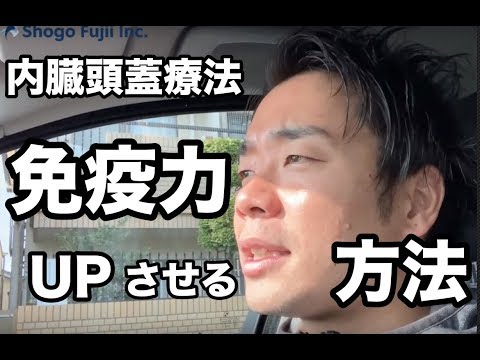 鶏の免疫力を高める天然抗生物質はどれですか?メリットは何ですか?  庭園