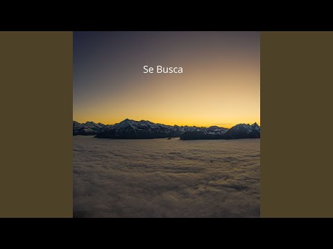 Se Busca