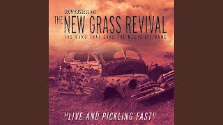Truck Drivin' Man (Live)