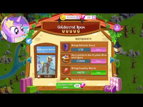 Saddle Arabia Stallion challenge