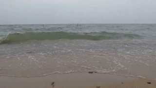 preview picture of video 'Stormy day, after a stormy night with Lake Michigan (Bridgman, Michigan)'