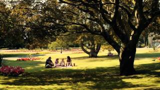 Carmarthenshire Parks