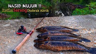 Download lagu NASIB MUJUR‼️ CASTING IKAN GABUS BUJUK TEPAT SARANG IKAN YANG DI OBRAK ABRIK #AS-189 mp3