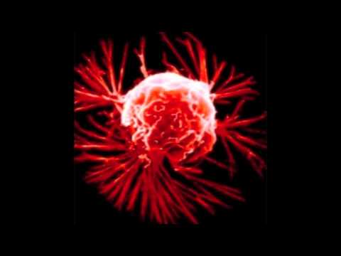 Dub Gabriel feat. The Spaceape- Is This Revolution?