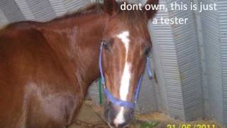 Blue Sky- Francesca Battistelli